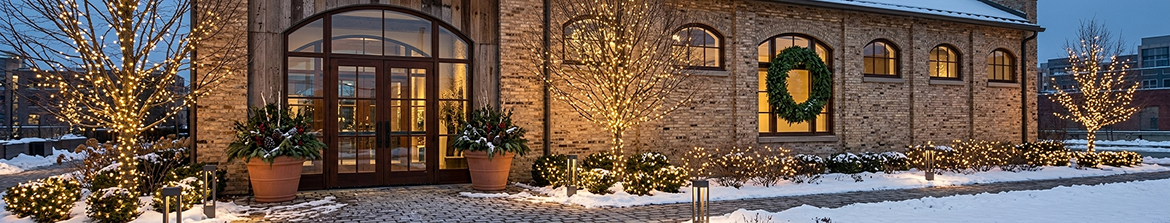 новогодний декор купить оптом в Ставрополе