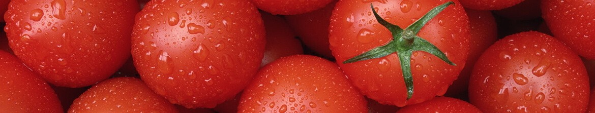 помидоры оптом в ставрополе